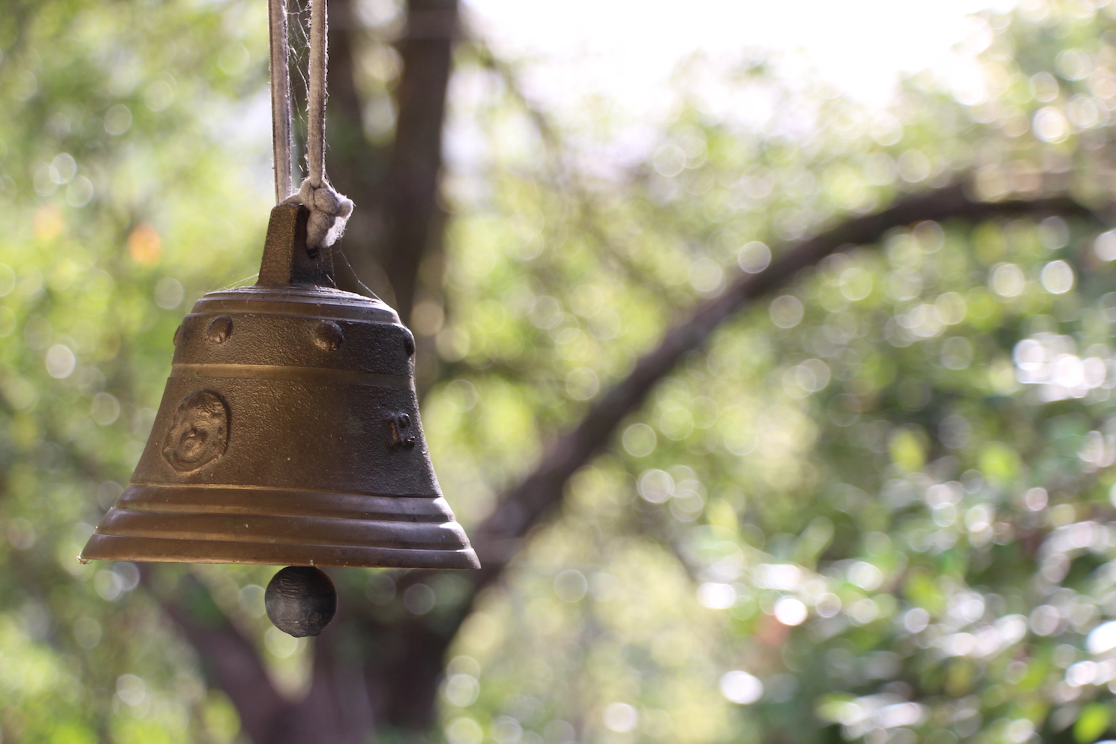 Sine Cera Rainforest Retreat Dinner bell