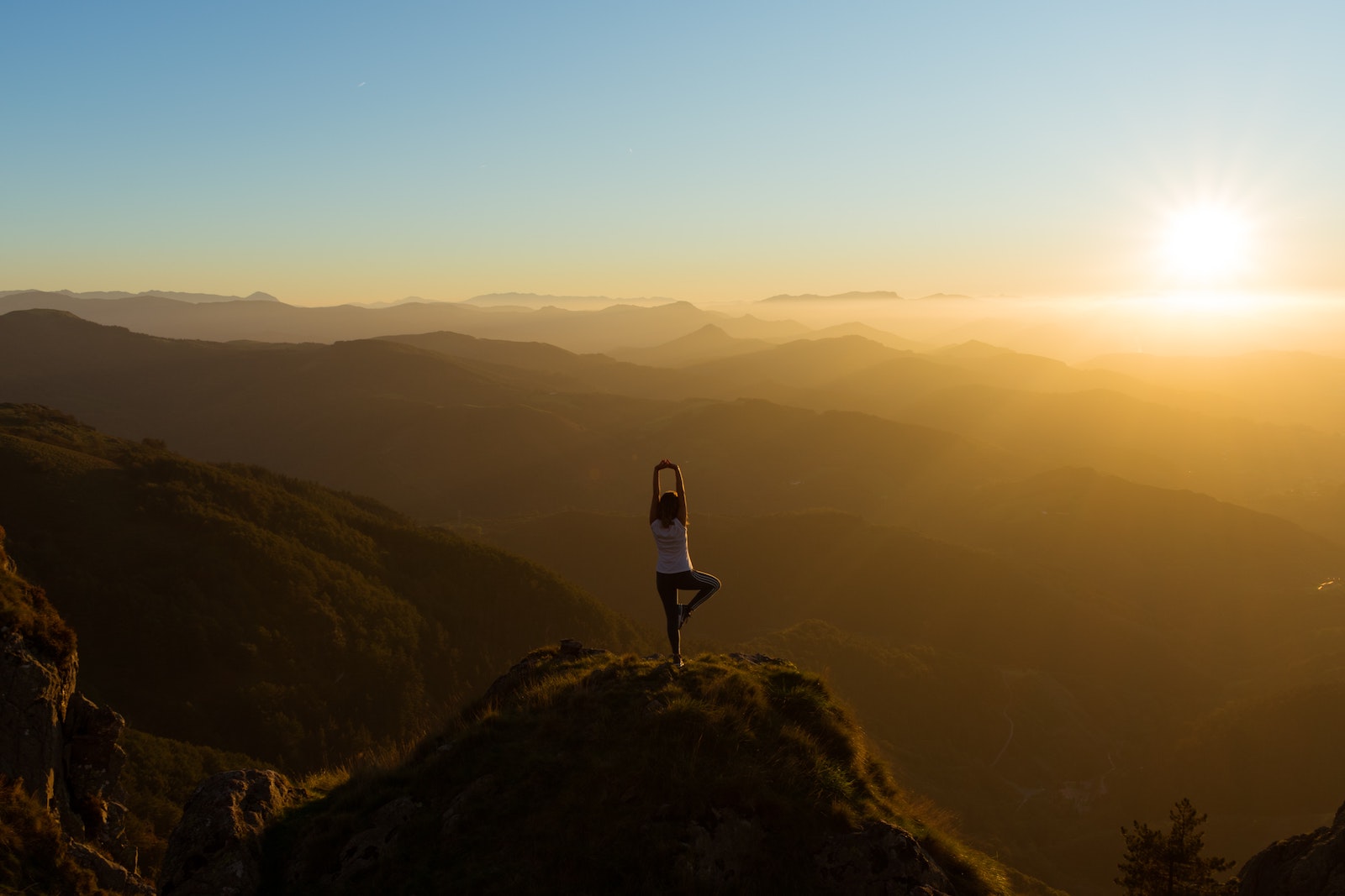 Sine Cera Rainforest Retreat tree on mountain yoga