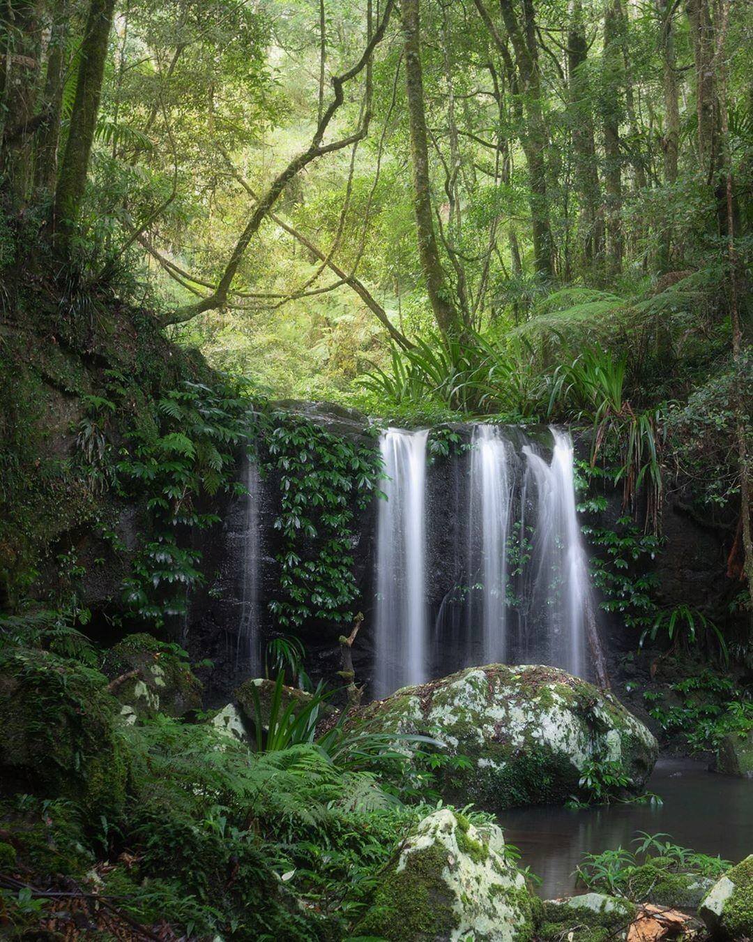 charity-events-sine-cera