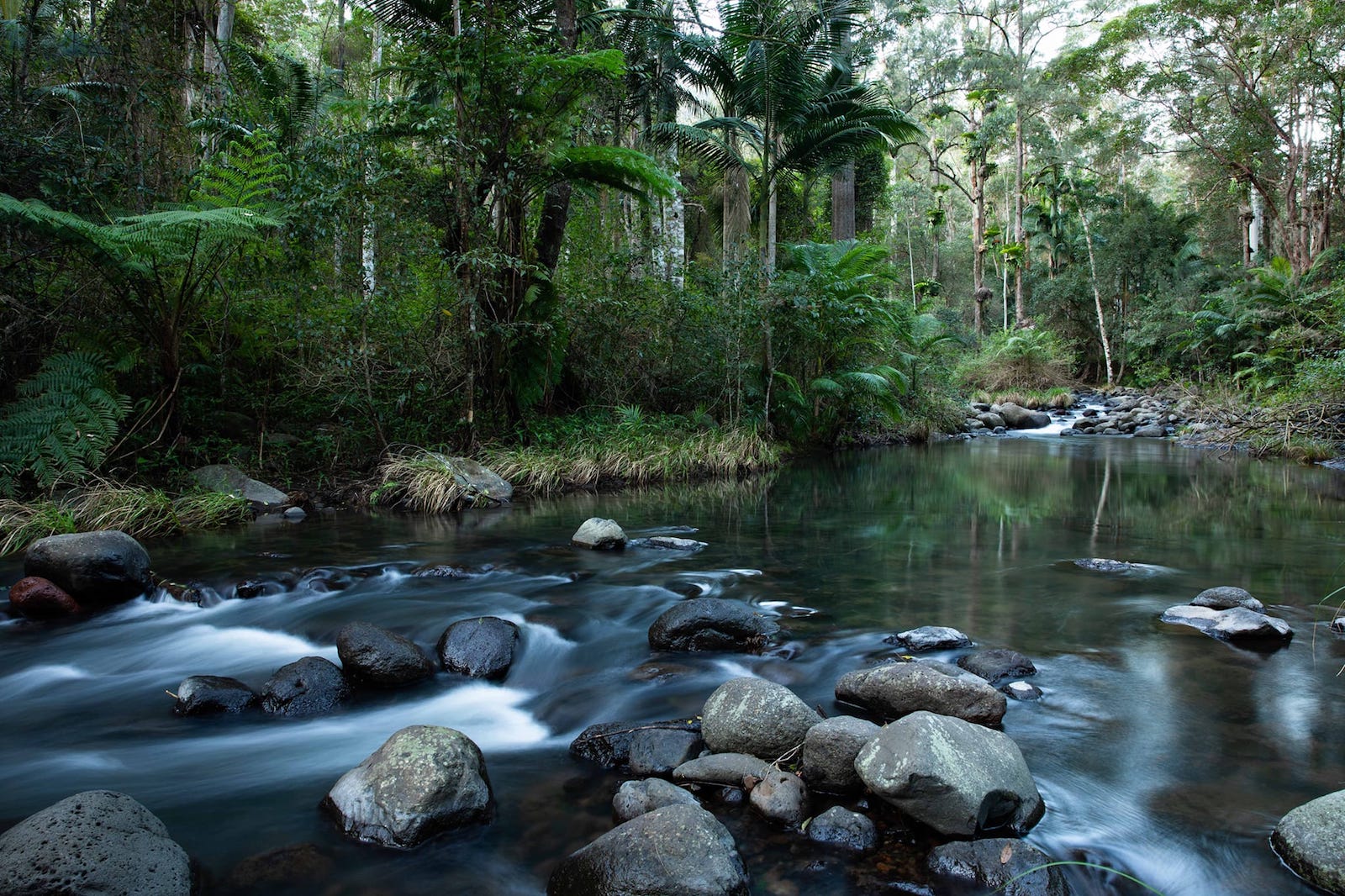 Sine Cere Gradys creek