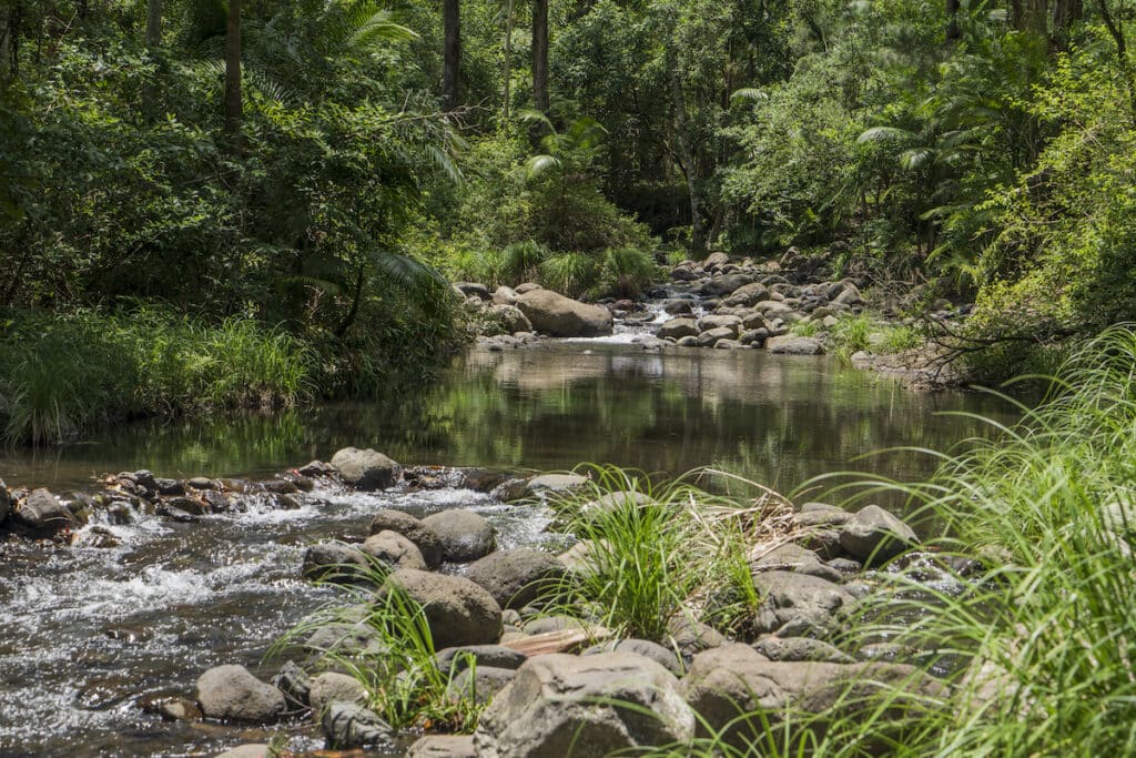 the creek having a still moment in time